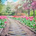 pathway-2289978_1280