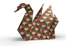 Origami w pedagogice cyrkulacyjnej i nieformalnej