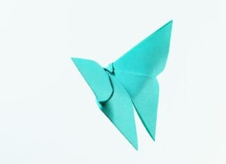 Origami na lekcjach przyrody: zwierzęta z papieru jako pomoc dydaktyczna