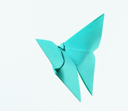 Origami na lekcjach przyrody: zwierzęta z papieru jako pomoc dydaktyczna Origami na lekcjach przyrody: zwierzęta z papieru jako pomoc dydaktyczna