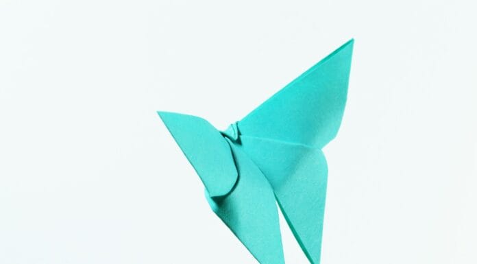 Origami na lekcjach przyrody: zwierzęta z papieru jako pomoc dydaktyczna Origami na lekcjach przyrody: zwierzęta z papieru jako pomoc dydaktyczna