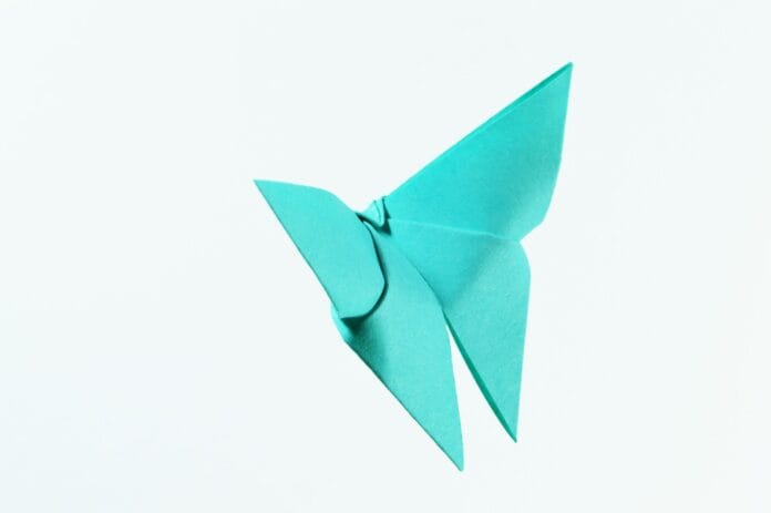 Origami na lekcjach przyrody: zwierzęta z papieru jako pomoc dydaktyczna Origami na lekcjach przyrody: zwierzęta z papieru jako pomoc dydaktyczna