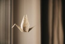 Jak zrobić kota z papieru? Łatwe origami krok po kroku dla dzieci Jak zrobić kota z papieru? Łatwe origami krok po kroku dla dzieci