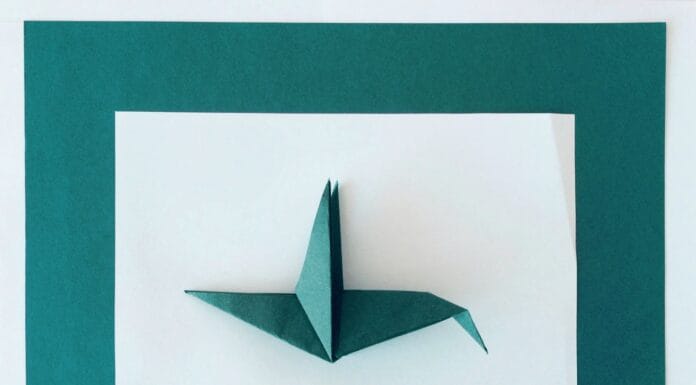 Turkusowy ptak origami na białym i turkusowym tle